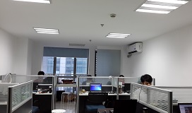 Team Member